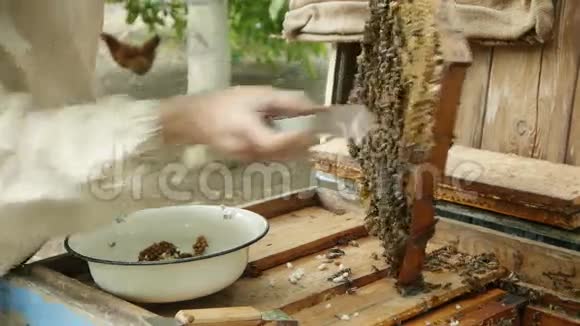 养蜂人用蜂窝工作视频的预览图