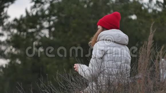 早春一位戴着红帽子的迷人年轻女子背着一个大旅游背包在森林里散步喝酒视频的预览图