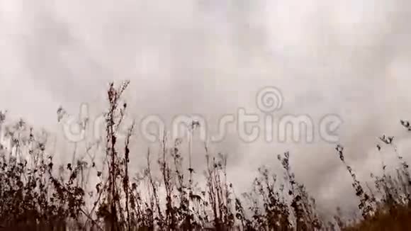 干草上的云镜头时间流逝视频的预览图