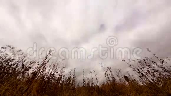 干草上的云镜头时间流逝视频的预览图