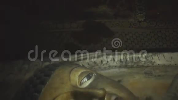 2014年2月Dambulla金寺的睡佛跟踪镜头这是世界遗产地视频的预览图