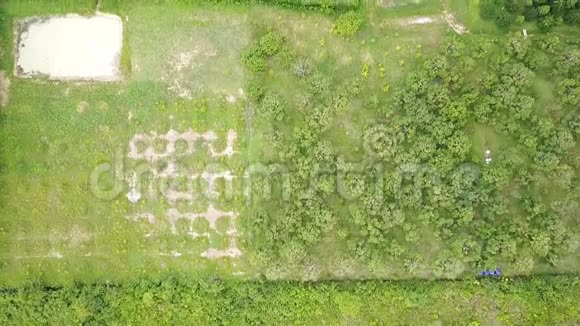 榴莲果园和橡胶树种植视频的预览图