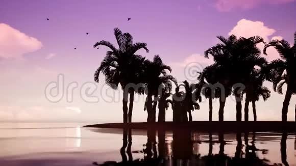 四个阿拉伯男人在海滩上用棕榈树说话视频的预览图