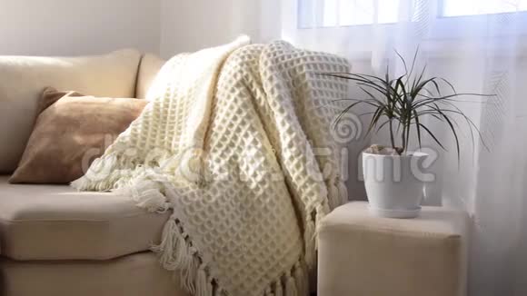 时尚明亮的客厅内部手工毛毯舒适沙发视频的预览图