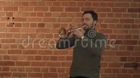 音乐家吹喇叭视频的预览图