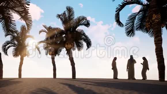 四个阿拉伯男人在海滩上用棕榈树说话视频的预览图