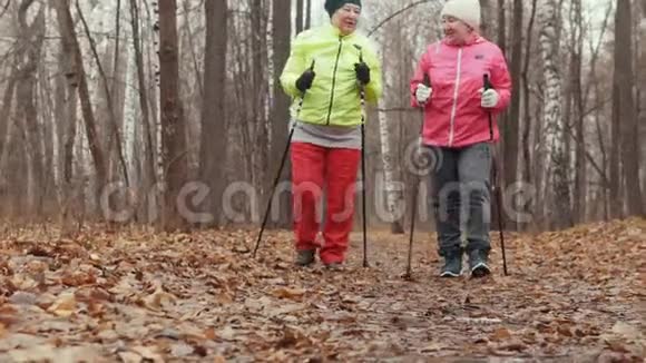 户外老年妇女北欧步行两名高级女士接受户外训练视频的预览图