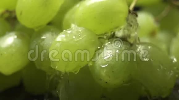 一串绿色的葡萄在黑色背景上滴着水滴视频的预览图