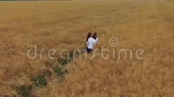 有平板电脑的农业科学家在野外工作空中飞行视频的预览图