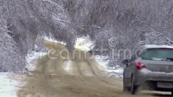 在强烈的冰暴之后与倒下的树木一起沿着道路行驶视频的预览图