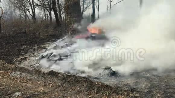 一股浓烟在树林里燃烧视频的预览图