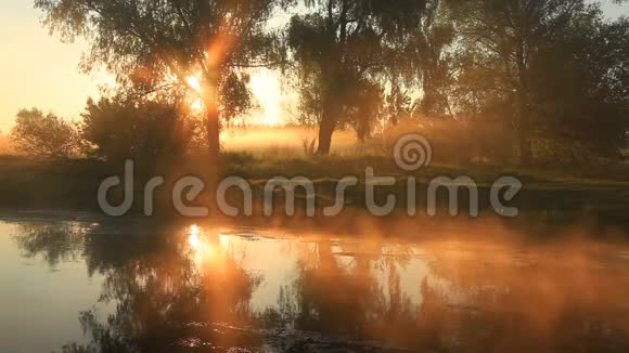 在一条美丽的春河上雾蒙蒙的黎明视频的预览图