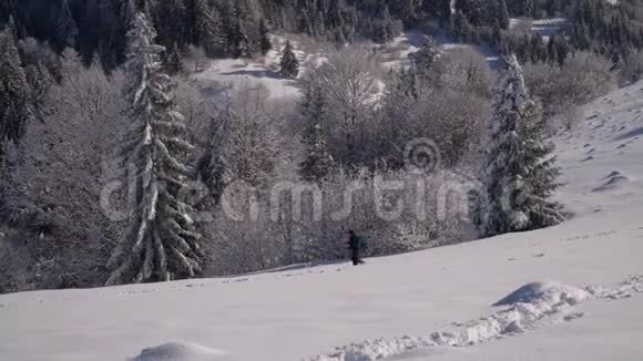 一个孤独的游客走过山林中的雪冬天雪林里的旅行者一个年轻人视频的预览图