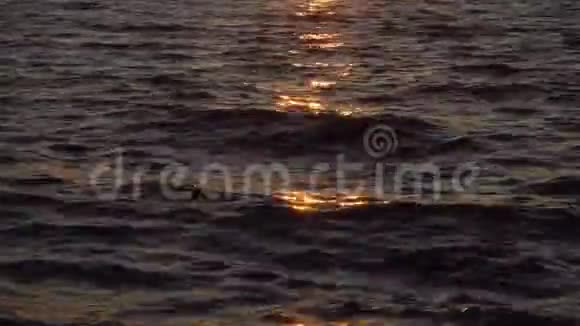 太阳射线中的海波视频的预览图