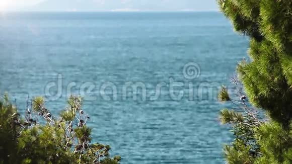 在亚得里亚海深蓝的海浪中航行视频的预览图