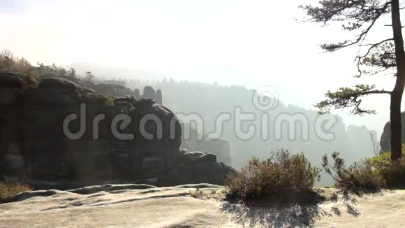 岩石帝国公园的薄雾日出尖锐的岩石从雾蒙蒙的背景中增加视频的预览图