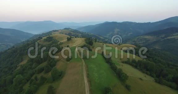 飞越山脉的空中景色乌克兰桑格维尔飞过树木森林谷早晨视频的预览图