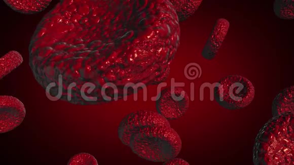 医学或科学中使用的白细胞和红细胞说明视频的预览图