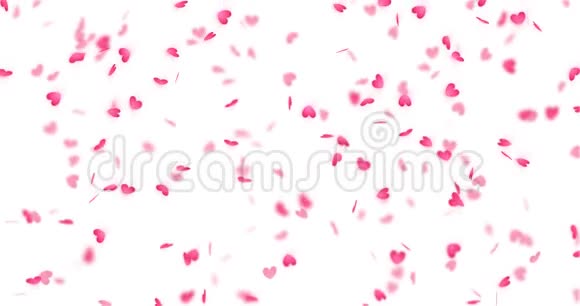 心背景情人节落下的心粉彩纸屑在透明的背景下圣瓦伦丁贺卡运动设计视频的预览图