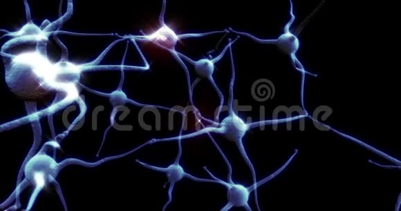 具有红色电脉冲活动的真实神经元突触网络视频的预览图