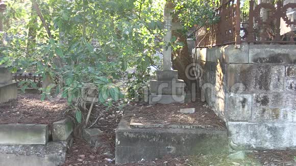 在一个杂草丛生的墓地的坟墓上视频的预览图
