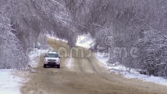 在强烈的冰暴之后与倒下的树木一起沿着道路行驶视频的预览图