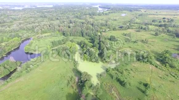 带着沼泽和湖泊飞过田野空中观景录像4k视频的预览图