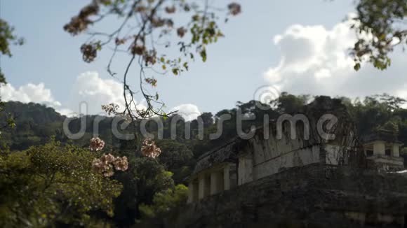 墨西哥恰帕斯州帕伦克的玛雅遗址视频的预览图