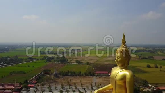 泰国大佛空中飞人的场景视频的预览图