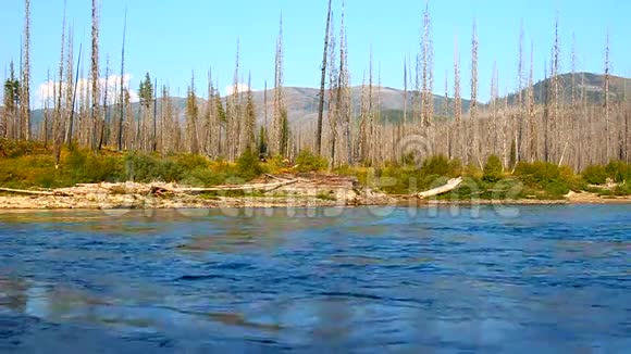 蒙大拿州的平头河视频的预览图