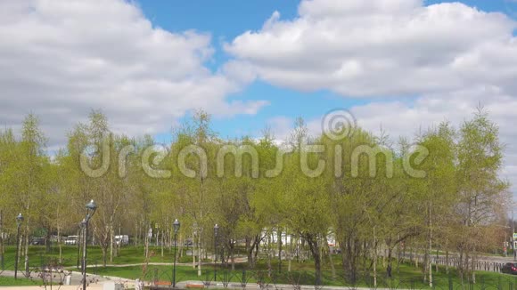 树木和天空的美丽景观视频的预览图