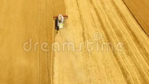 联合收割机的鸟瞰图将4K的小麦作物聚集在一起视频的预览图