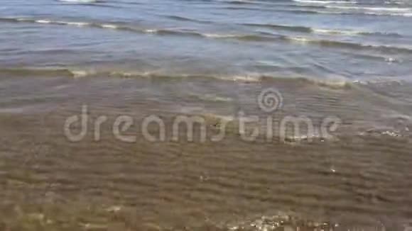 海滩上清澈的水视频的预览图