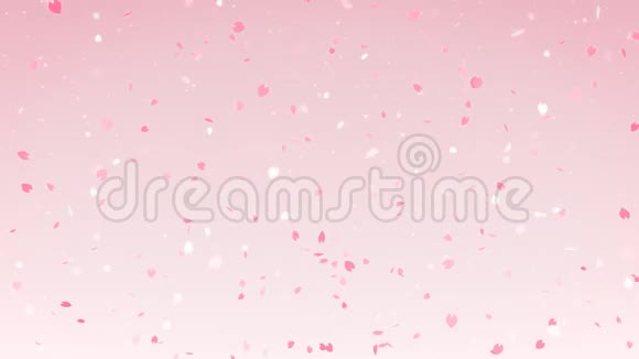 樱花落粉色背景环纹视频的预览图