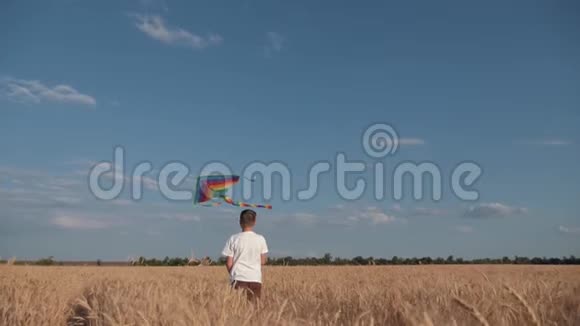日落时分一个男孩穿过田野头上放着风筝一个孩子的梦儿童游戏视频的预览图