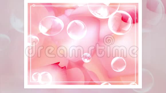 泡泡彩虹反射泡泡玫瑰花瓣视频的预览图