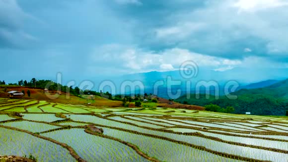 时间流逝云在稻田上移动映在水中视频的预览图