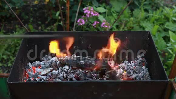 把木头烧成灰烬火焰火焰烧烤或烧烤视频的预览图