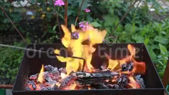 把木头烧成灰烬火焰火焰烧烤或烧烤视频的预览图