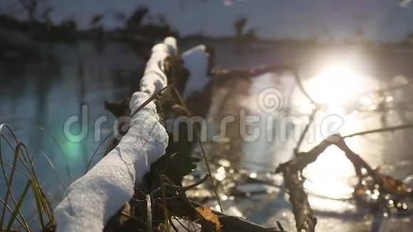 树枝冻在冰林河自然阳光下的冬天视频的预览图