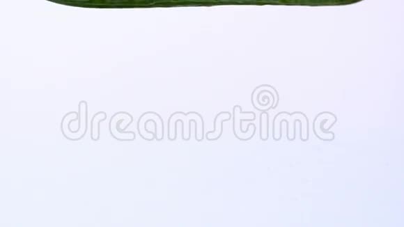 古吉特落在白色背景上视频的预览图