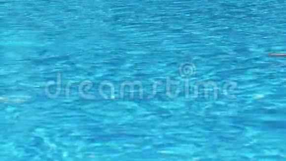 人在游泳池里游泳视频的预览图
