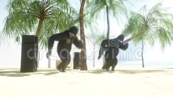 有趣的大猩猩和猴子在阳光明媚的海边跳舞旅游和休息理念逼真的4K动画视频的预览图