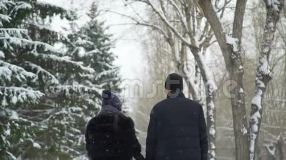 夫妇在雪日散步视频的预览图
