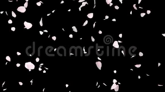樱花落与阿尔法环视频的预览图