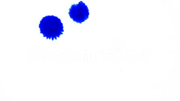白色背景下分离出的亮蓝色滴滴液视频的预览图