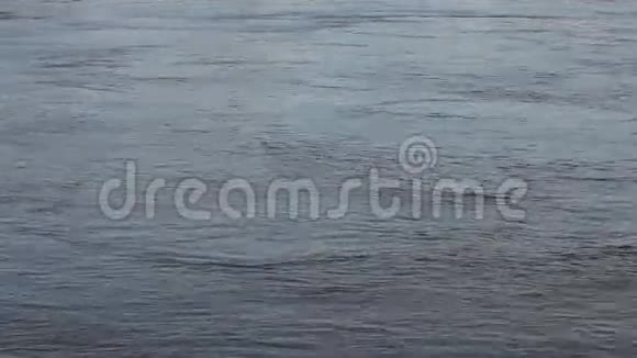 浑水流淌多瑙河视频的预览图