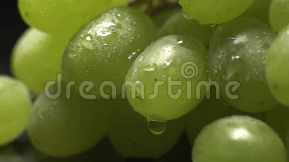 一串绿色的葡萄在黑色背景上滴着水滴视频的预览图