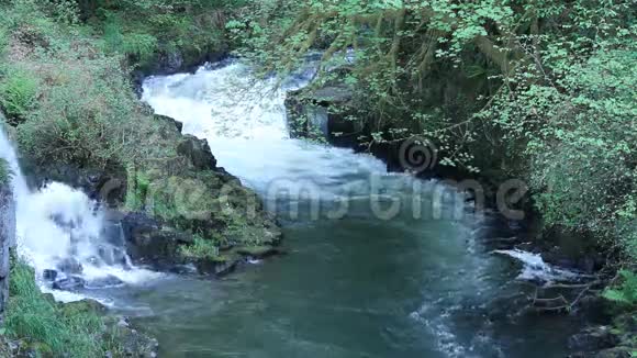 瀑布和河流快速流动视频的预览图