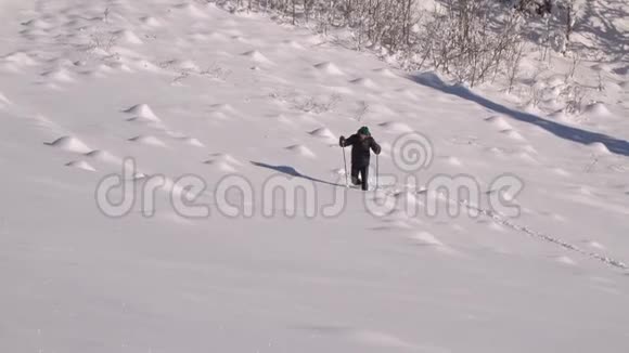 一个孤独的游客走过山林中的雪冬天雪林里的旅行者一个年轻人视频的预览图